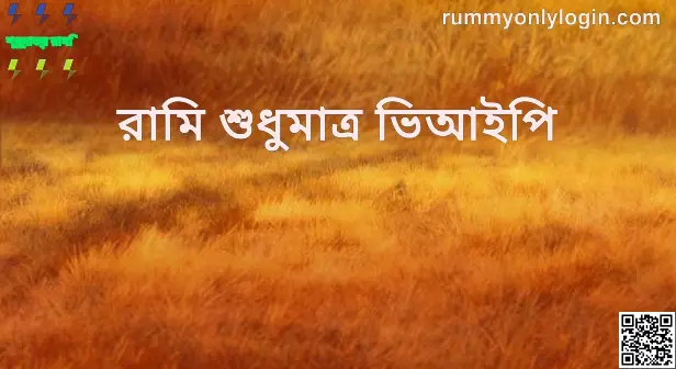 Rummy Only VIP review and security insights 2025